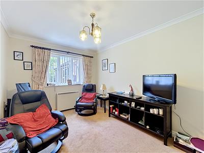Picture 10